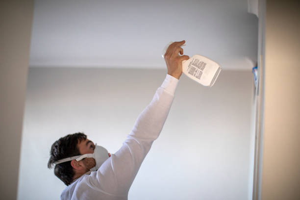 Best Professional Mold Removal  in Brookings, OR