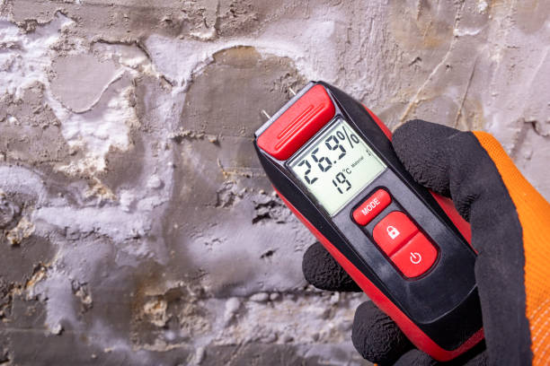 Best Mold Cleaning Services  in Brookings, OR