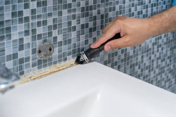 Best Mold Damage Repair  in Brookings, OR