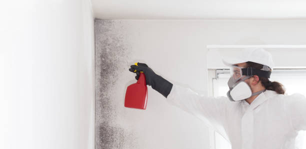 Best Mold Testing  in Brookings, OR
